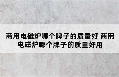 商用电磁炉哪个牌子的质量好 商用电磁炉哪个牌子的质量好用